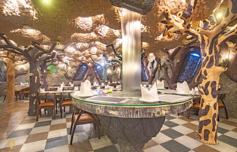 Hotel Shady Oaks About us Image - 4