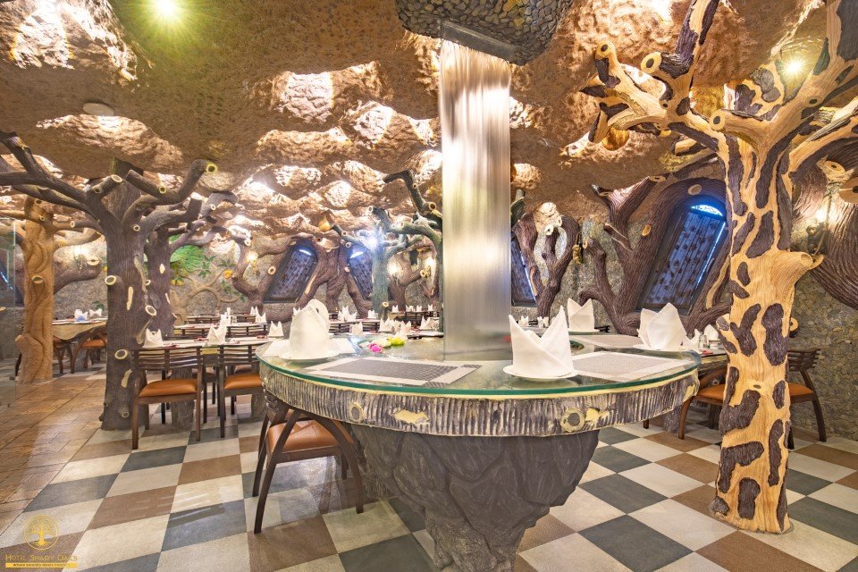 Hotel Shady Oaks Practical Tips for Booking Budget-Friendly Hotels in Srinagar Pictures